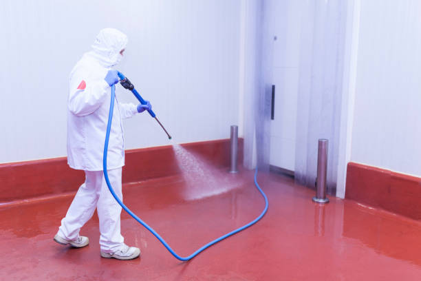 Best Spring Cleaning  in Silver Creek, NY